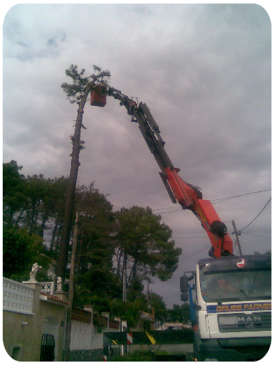 la cesta a 30 metros